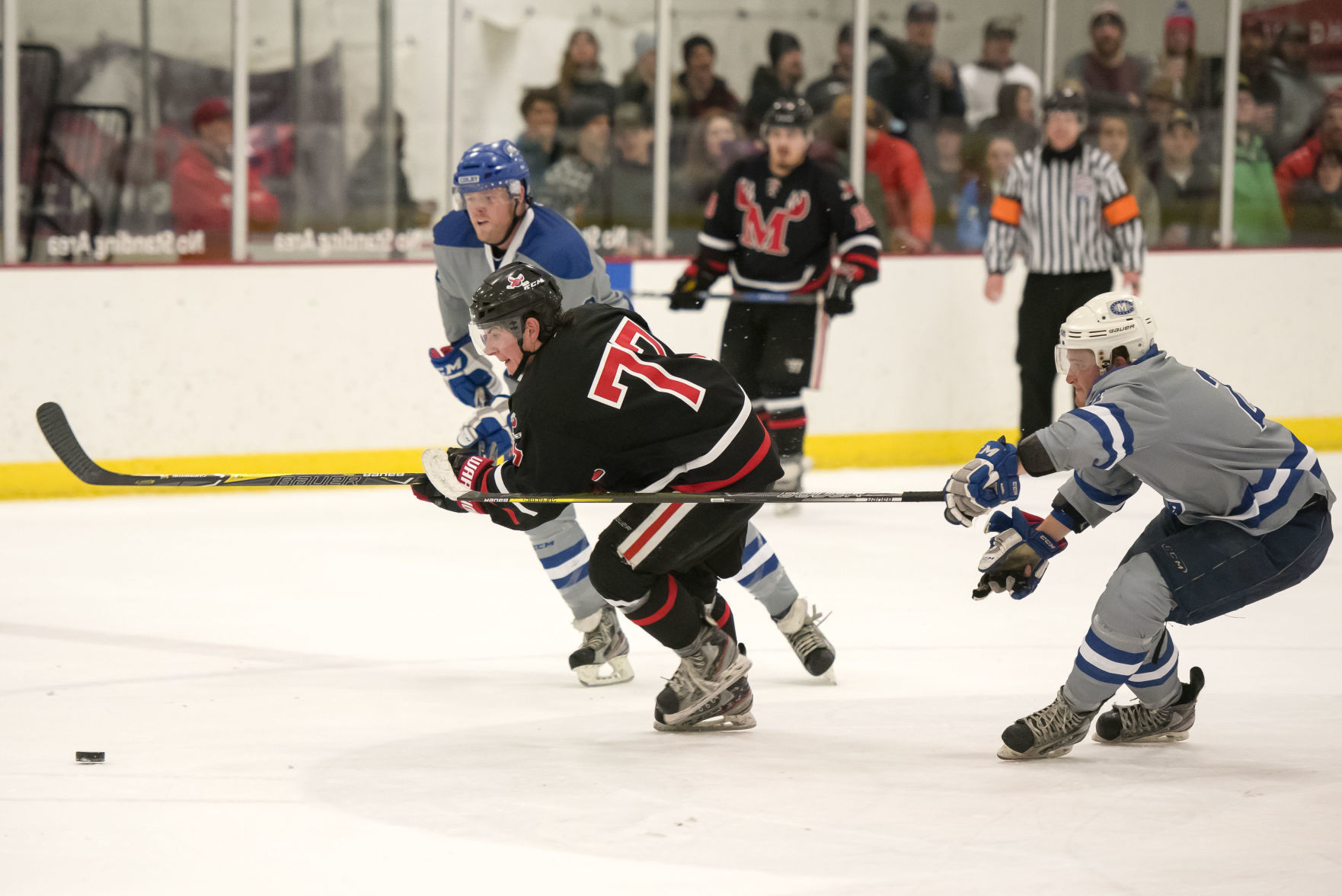 Moose hockey